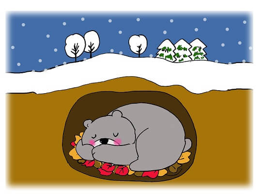 大雪