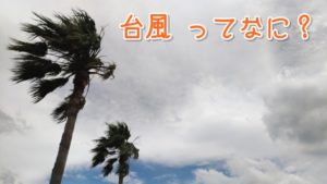台風ってなに