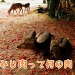 もみじ肉とは何の肉？