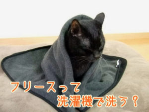 フリースって洗濯機で洗う？