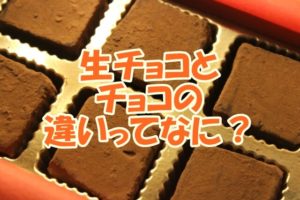 生チョコとチョコの違いってなに？