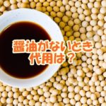 醤油がないとき代用は？