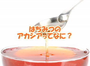 はちみつのアカシアってなに？