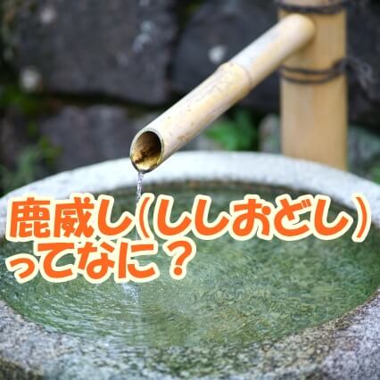 鹿威し（ししおどし）って何？